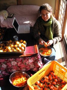 Making Pickled Chinese Cabbage, Japanese Style Image